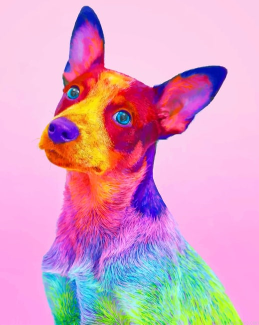 Colorful Dog Animals Painting By Numberss.png