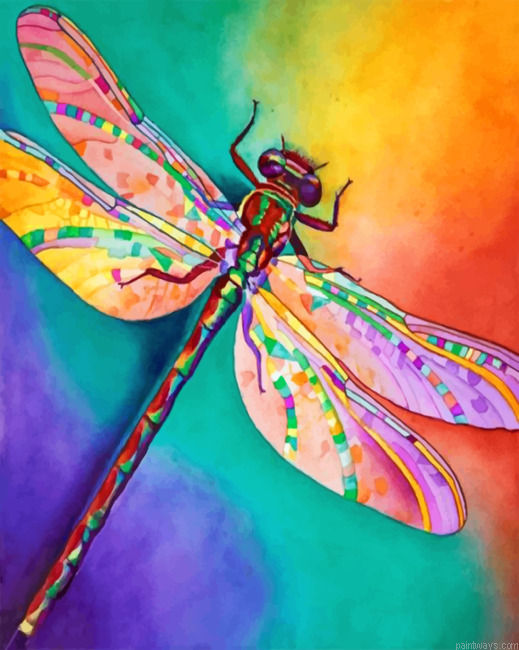 Colorful Dragonfly Painting By Numberss.png