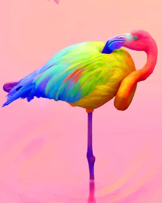 Colorful Flamingo Birds Painting By Numberss.png