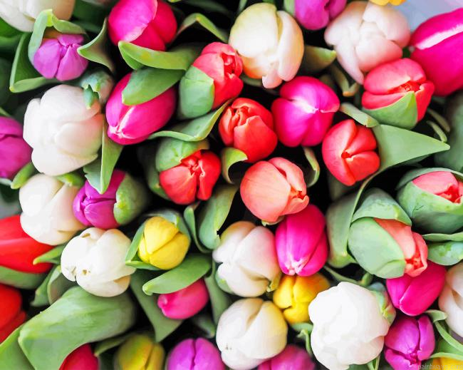 Colorful Flower Pack New Painting By Numberss.png