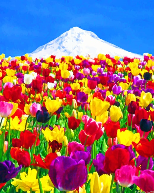 Colorful Flowers Painting By Numberss.png