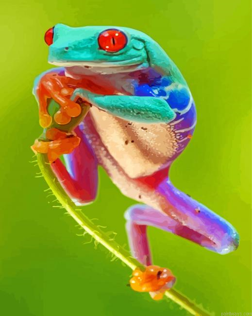 Colorful Groda Frog Painting By Numberss.png
