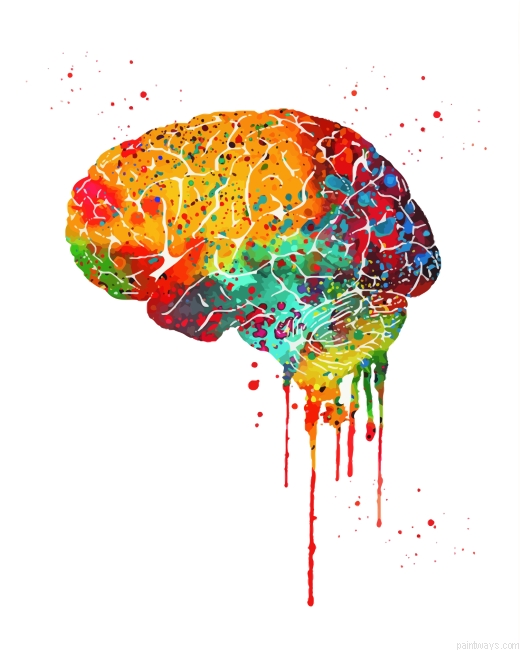 Colorful Human Brain Art Painting By Numberss.png