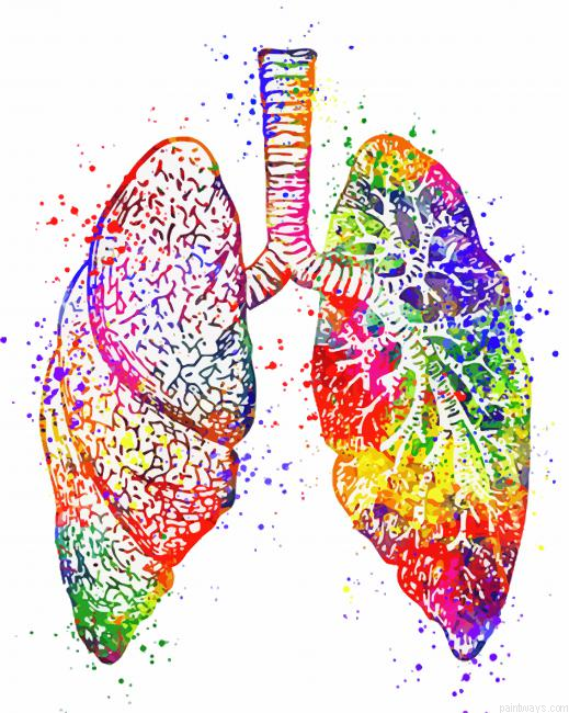 Colorful Lungs Painting By Numberss.png