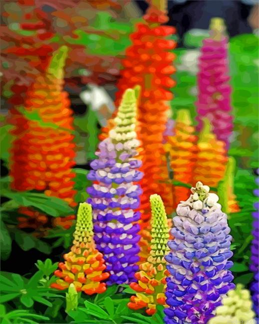 Colorful Lupins Painting By Numberss.png