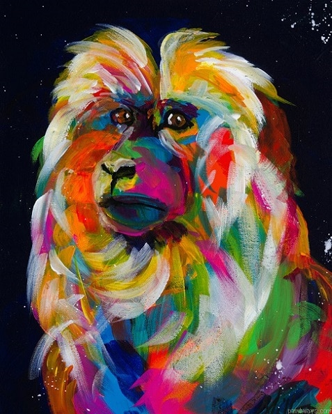 Colorful Macaque Painting By Numbers.png