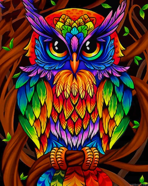 Colorful Mandala Owl Birds Painting By Numberss.png