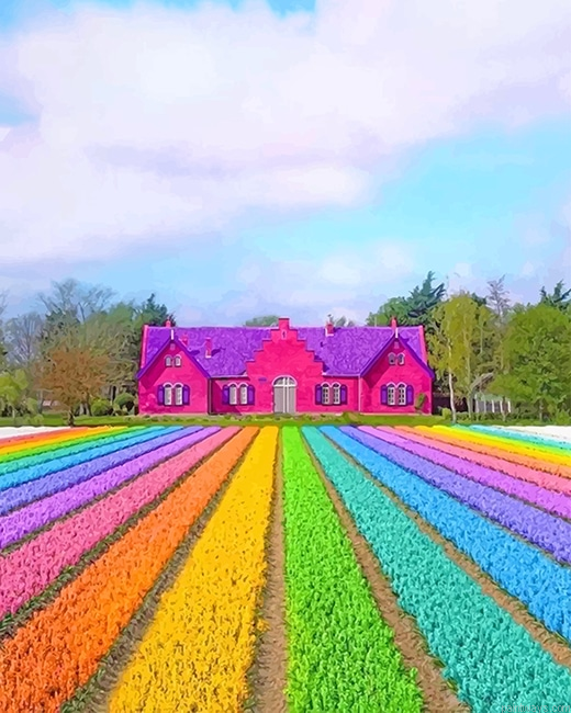 Colorful Nature New Painting By Numberss.png