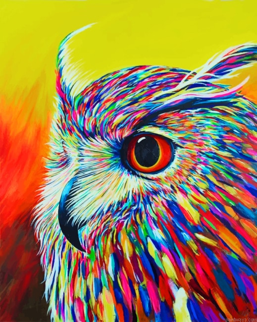 Colorful Owl Arts Painting By Numberss.png