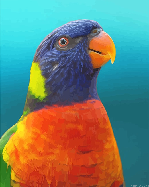 Colorful Parrot Animals Painting By Numberss.png