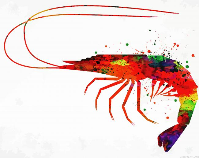 Colorful Shrimp Painting By Numberss.png