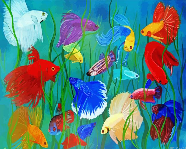 Colorful Siamese Fighting Fish Painting By Numberss.png