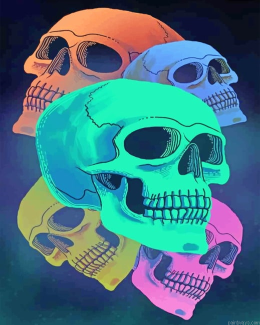 Colorful Skulls Painting By Numberss.png
