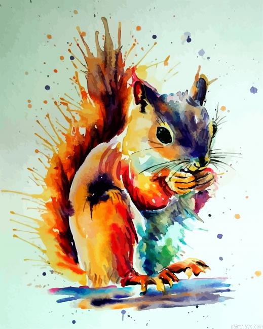Colorful Splash Squirrel Painting By Numberss.png
