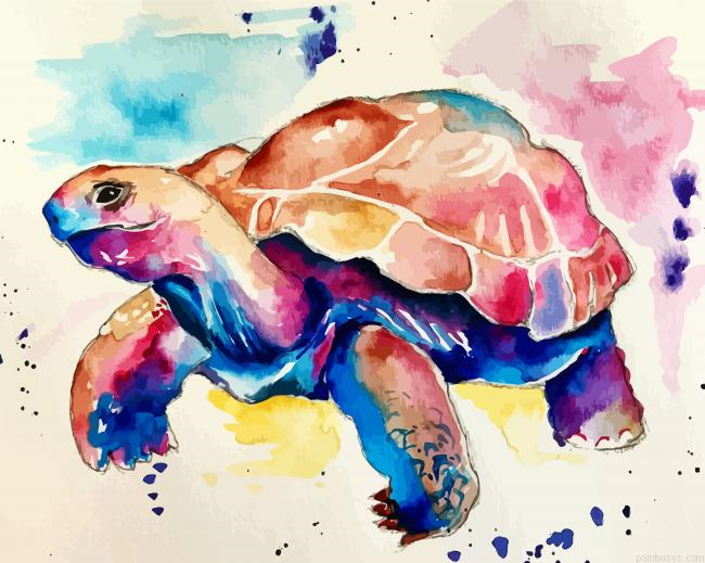 Colorful Tortoise Painting By Numberss.png
