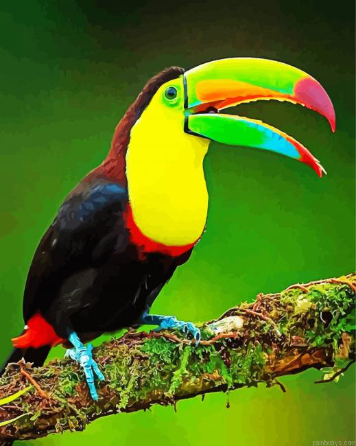 Colorful Tucan Bird Painting By Numberss.png
