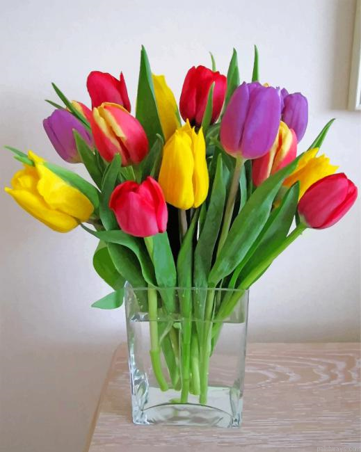 Colorful Tulips Painting By Numbers.png