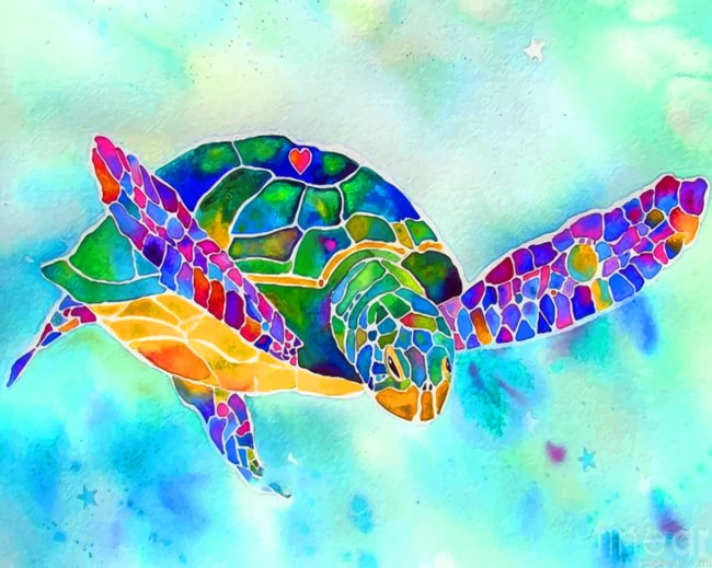 Colorful Turtle Reptiles Painting By Numberss.png