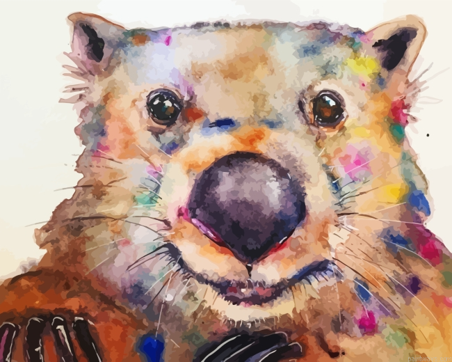 Colorful Wombat Painting By Numbers.png