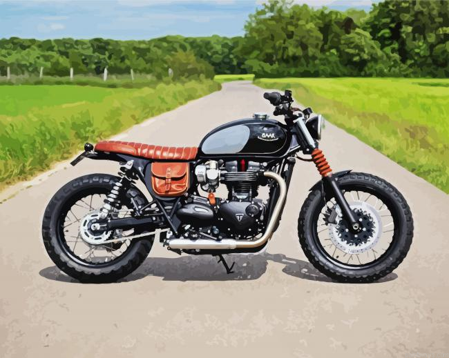 Cool Triumph Motorcycle Painting By Numberss.png