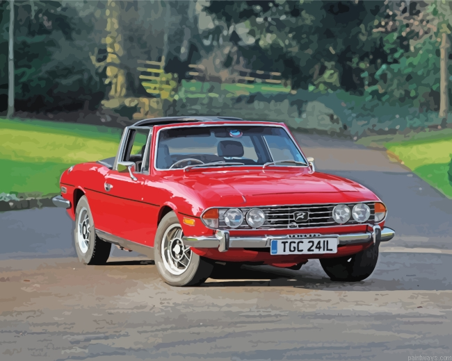 Cool Triumph Stag Painting By Numbers.png