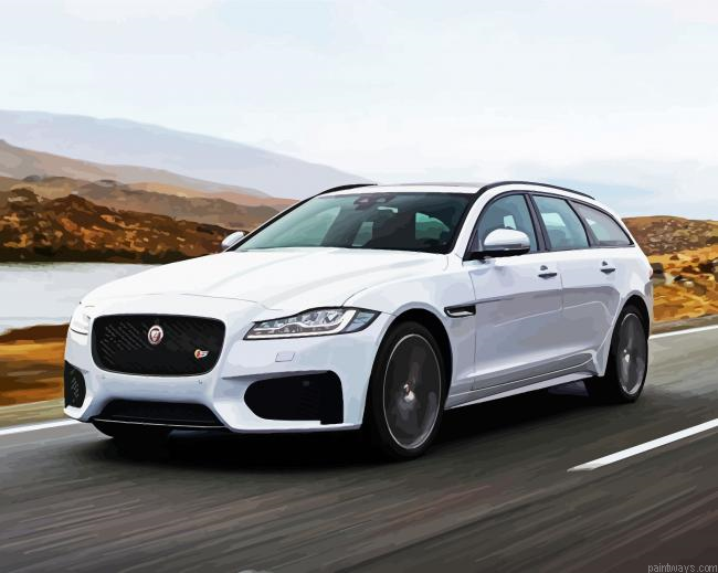 Cool White Jaguar Car Painting By Numberss.png