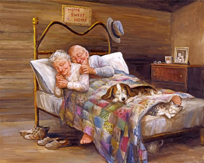 Couple Sleep Hug Painting By Numbers.png