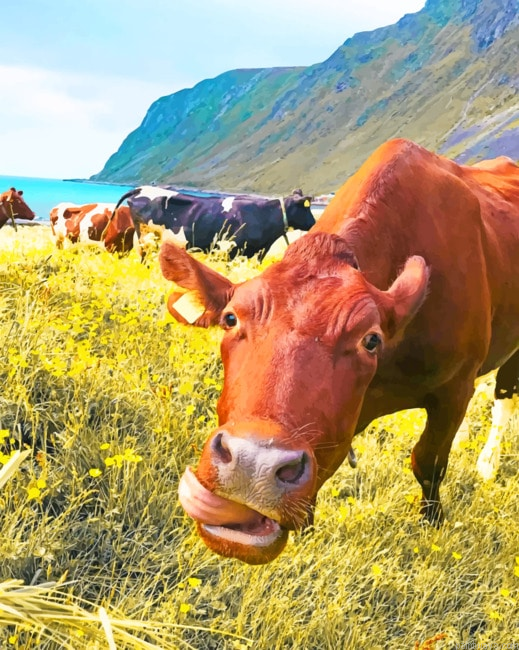 Cows In A Field Animals Painting By Numberss.png