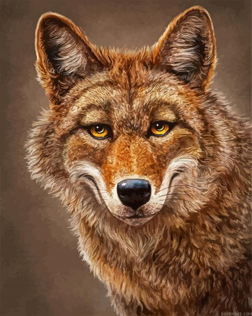 Coyote Animal Face Painting By Numberss.png