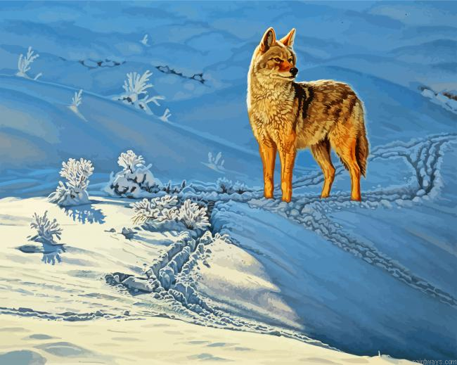 Coyote In Snow Painting By Numberss.png