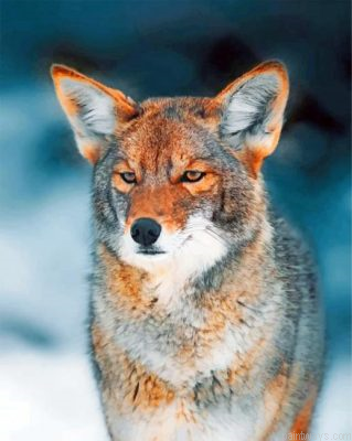 Coyote Painting By Numbers.png
