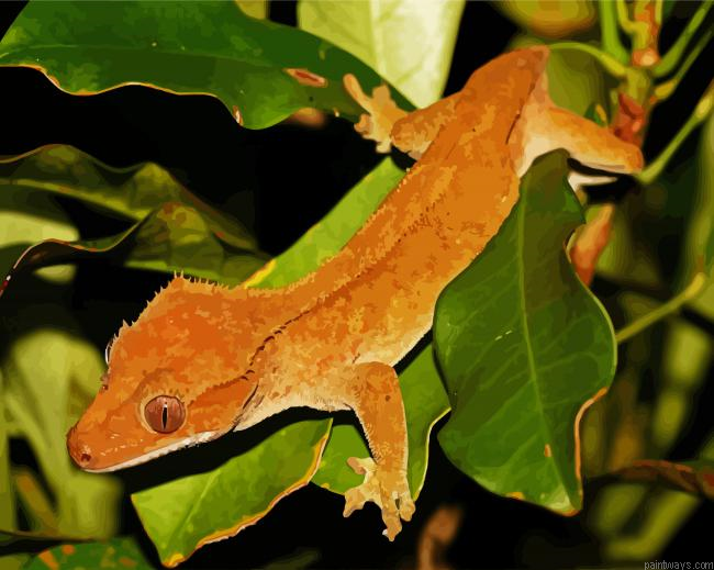 Crested Gecko Lizard Painting By Numberss.png