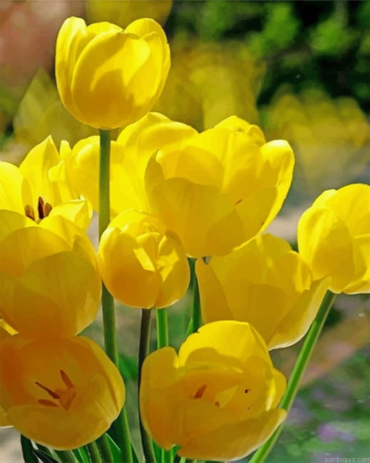 Crocus Flowers Painting By Numberss.png