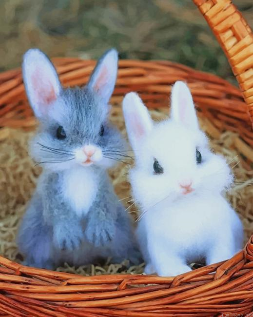 Cute Babies Rabbits New Painting By Numberss.png