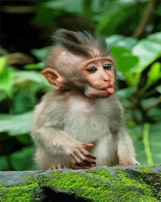 Cute Baby Monkey New Painting By Numberss.png