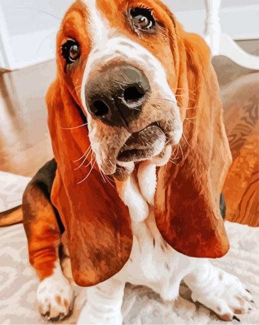 Cute Bloodhound Painting By Numbers.png