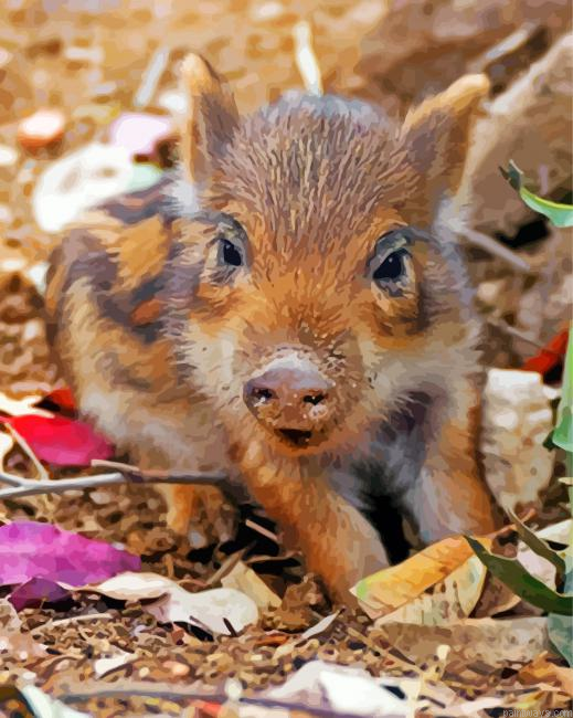 Cute Boar Painting By Numbers.png