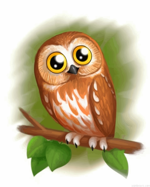 Cute Brown Owl Painting By Numbers.png