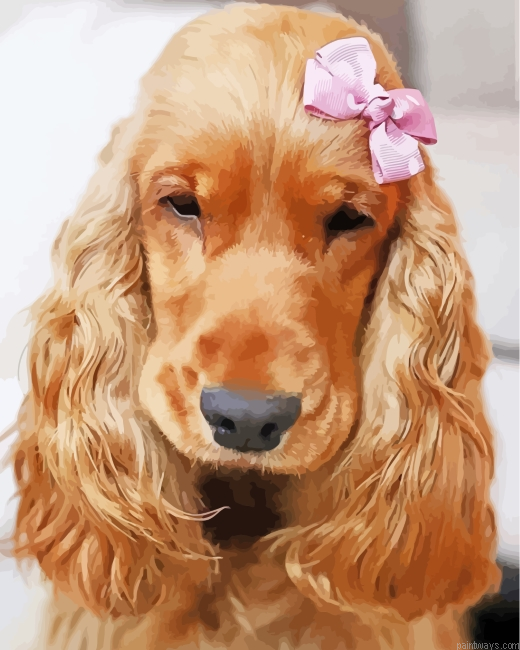 Cute Cocker Dog Painting By Numberss.png
