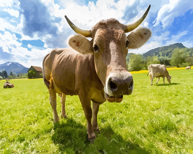 Cute Cow New Painting By Numberss.png