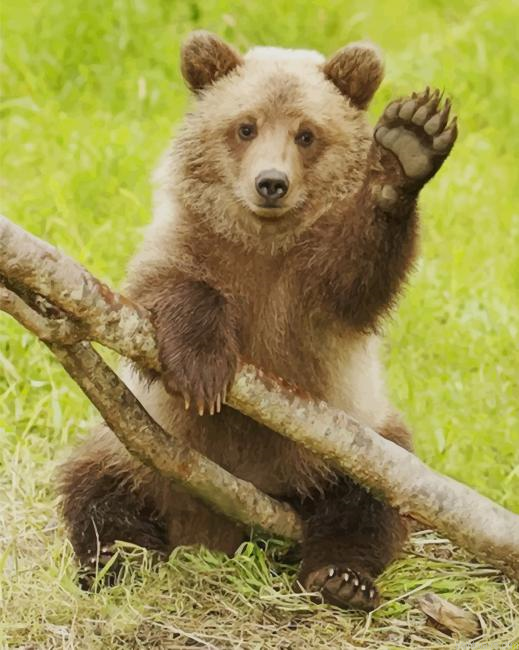 Cute Grizzly Bear New Painting By Numberss.png
