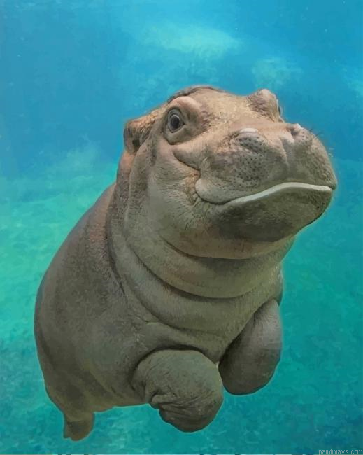Cute Hippo In Water New Painting By Numberss.png