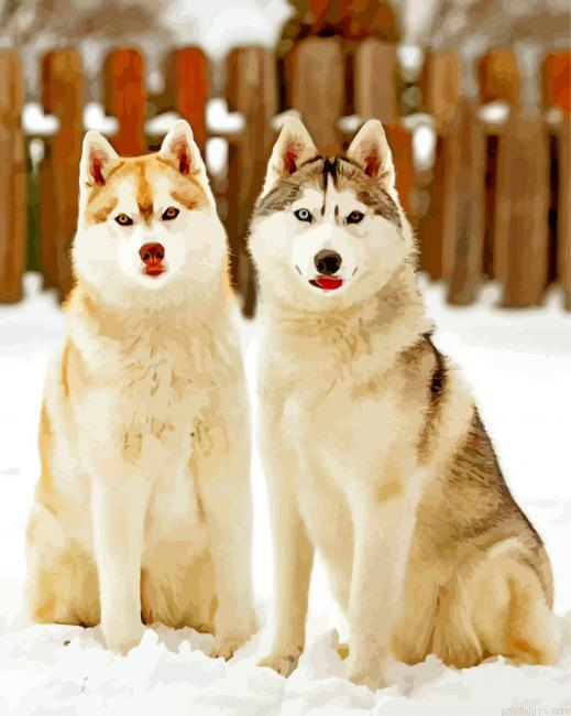 Cute Huskies Painting By Numbers.png