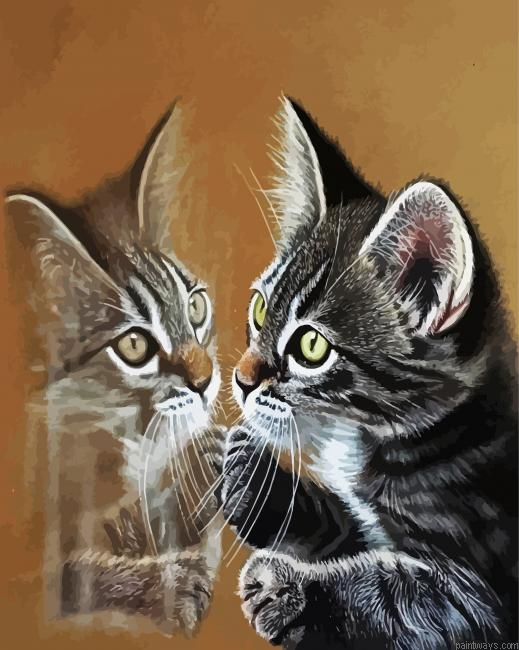 Cute Kitten Reflection Painting By Numberss.png