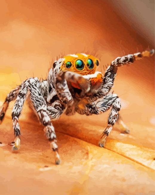 Cute Little Spider Painting By Numberss.png
