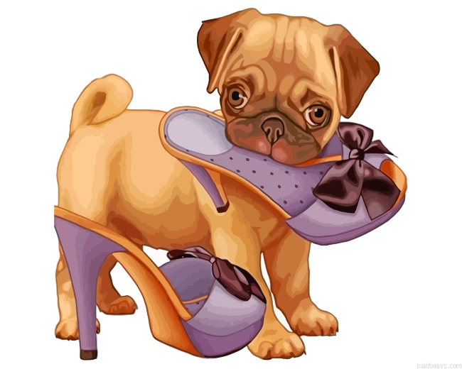 Cute Pug Painting By Numbers.png