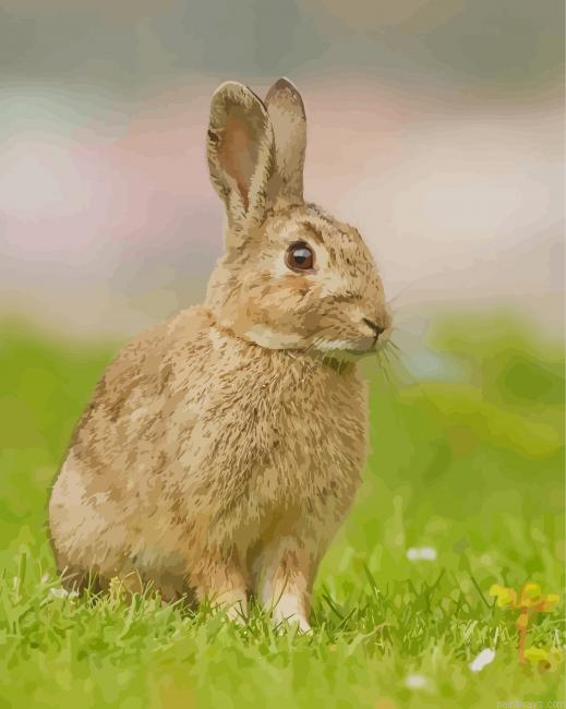 Cute Rabbit New Painting By Numberss.png