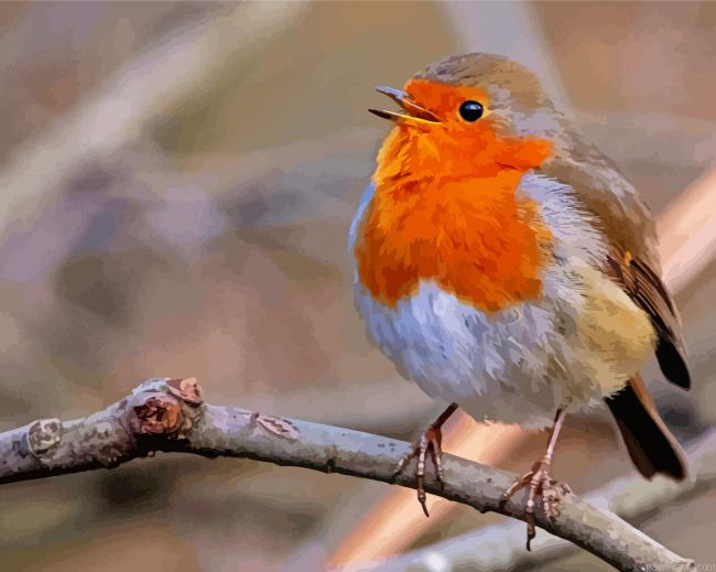 Cute Robin Bird Painting By Numberss.png