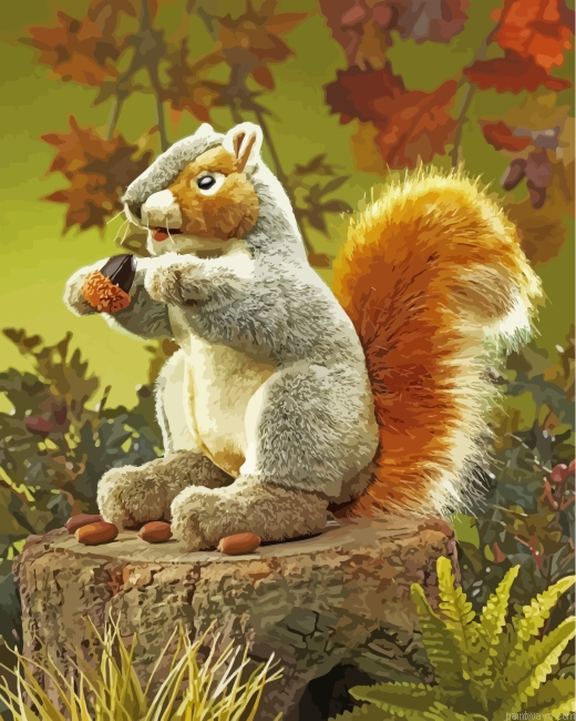 Cute Squirrel Painting By Numbers.png
