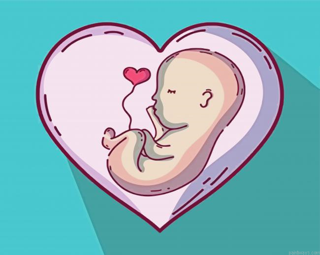 Cute Unborn Illustration Painting By Numberss.png